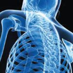 Orthopedic Device Fact Sheet