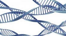 Medpace Web Neuroscience