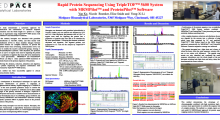 Rapid Protein Sequencing Using TripleTOF™ 5600 System with MRMPilot™ and ProteinPilot™ Software