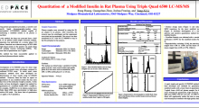 Quantitation of a Modified Insulin in Rat Plasma Using Triple Quad 6500 LC-MS/MS