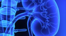 Kidney Nephrology Clinical Trials