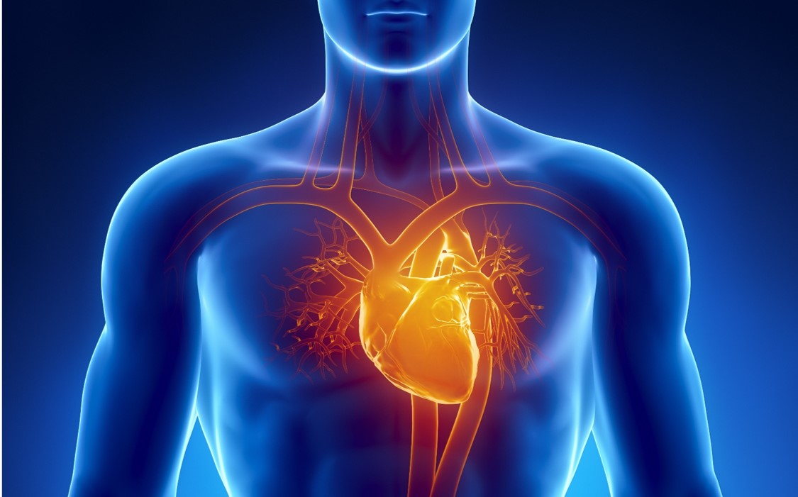 Cardiovascular Imaging