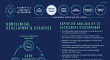 At A Glance Nonclinical Regulatory and Strategy