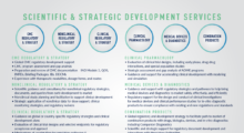 At A Glance Scientific and Strategic Development