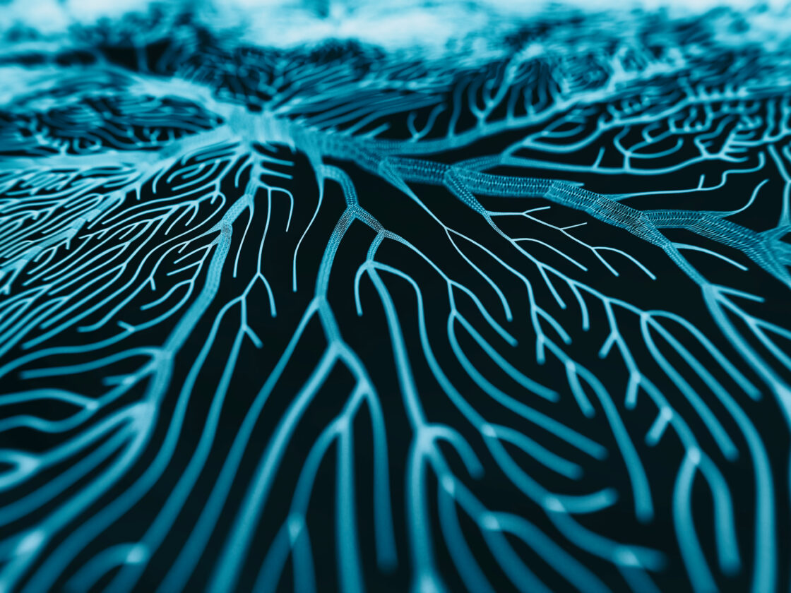 Neuron System