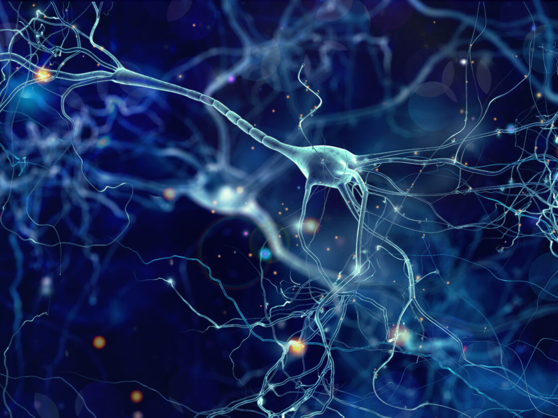 neuron cells 3D illustration