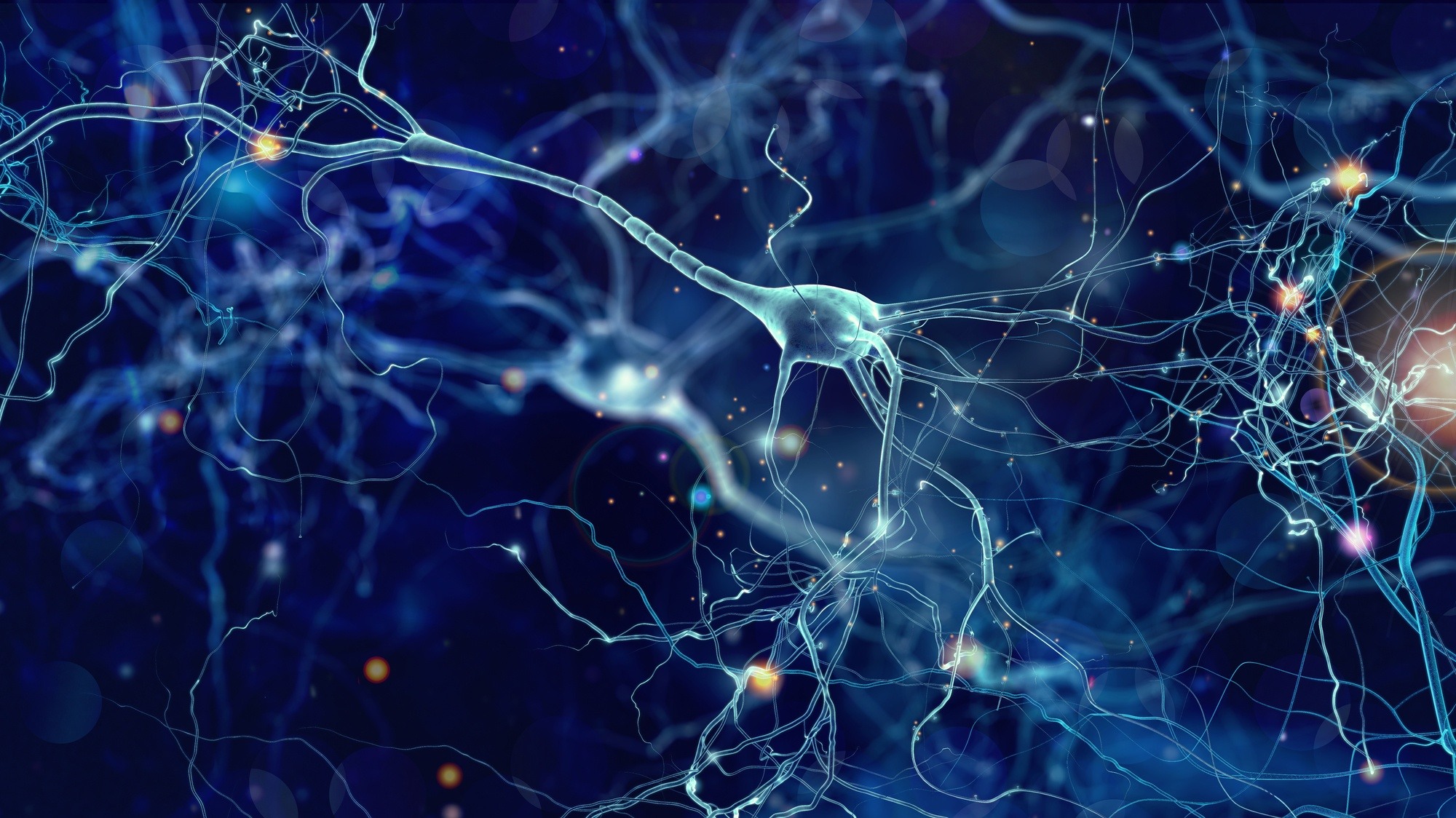 neuron cells 3D illustration