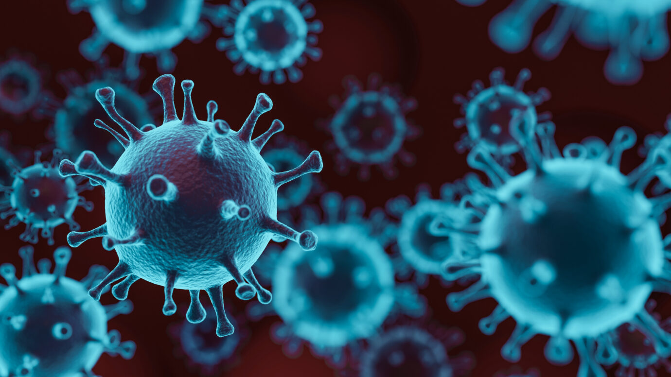 Pathogenic viruses causing infection in host organism
