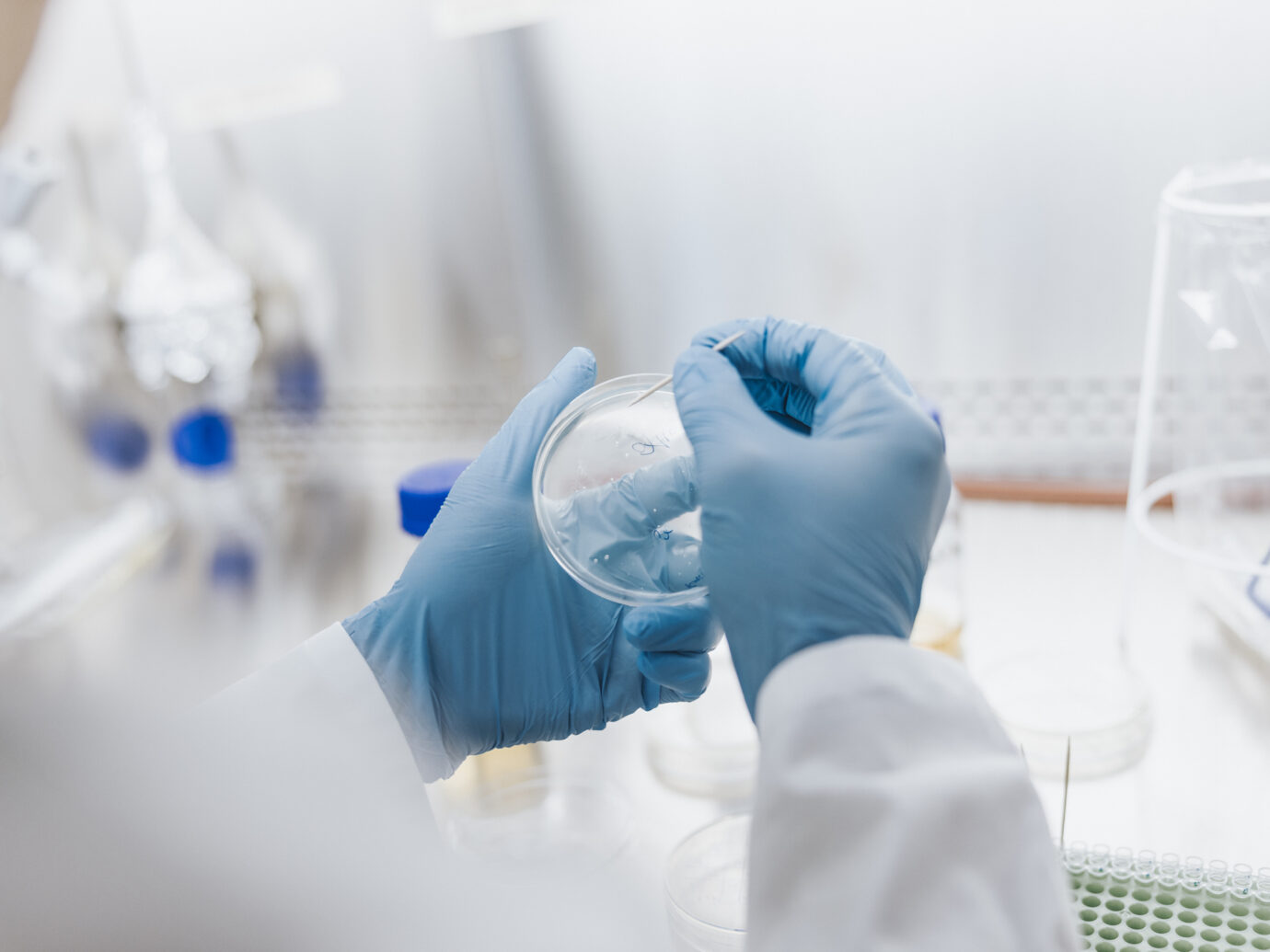 Scientist working with petri dish