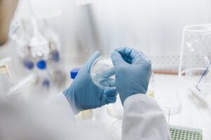 Scientist growing bacteria in laboratory