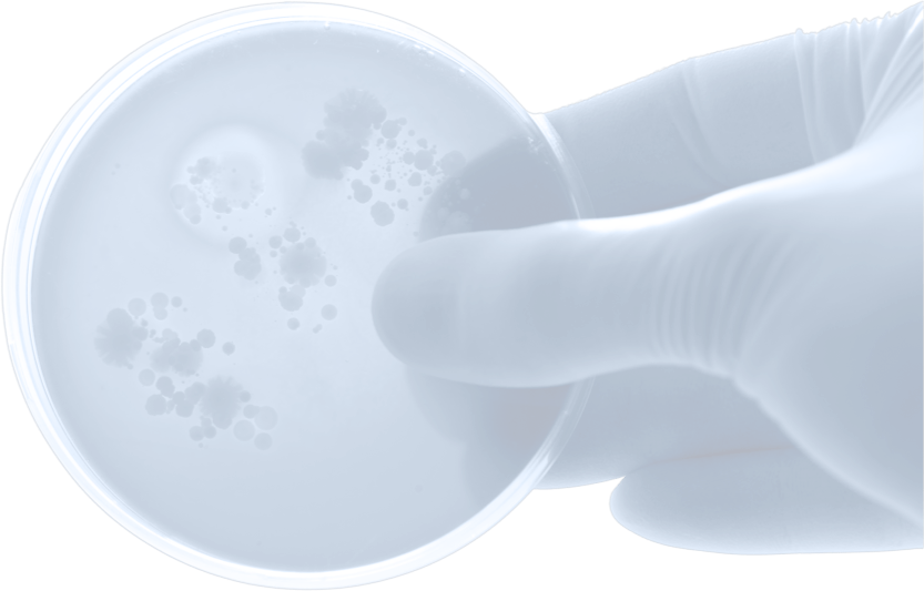 transparent hand holding petri dish