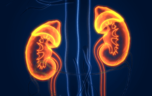 Chronic Kidney Disease