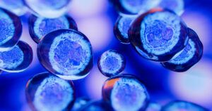 Cellular therapy rendering