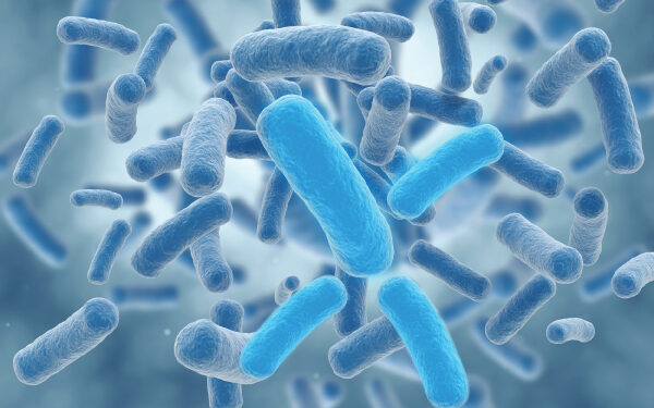 Infectious Disease
