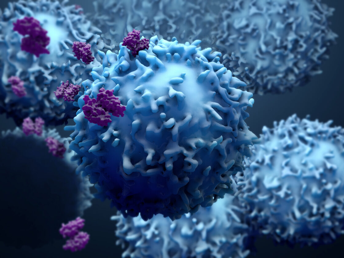 3d illustration proteins with lymphocytes