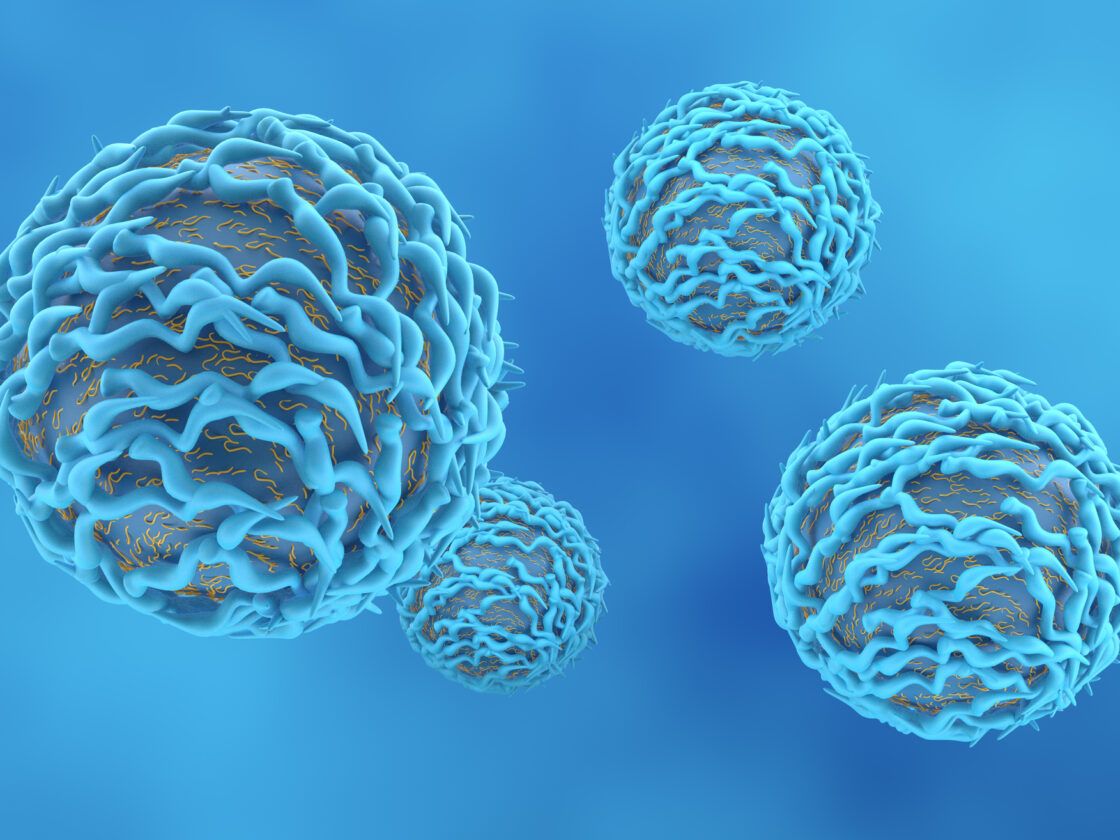 T-cell, Lymphocyte produced by the thymus gland