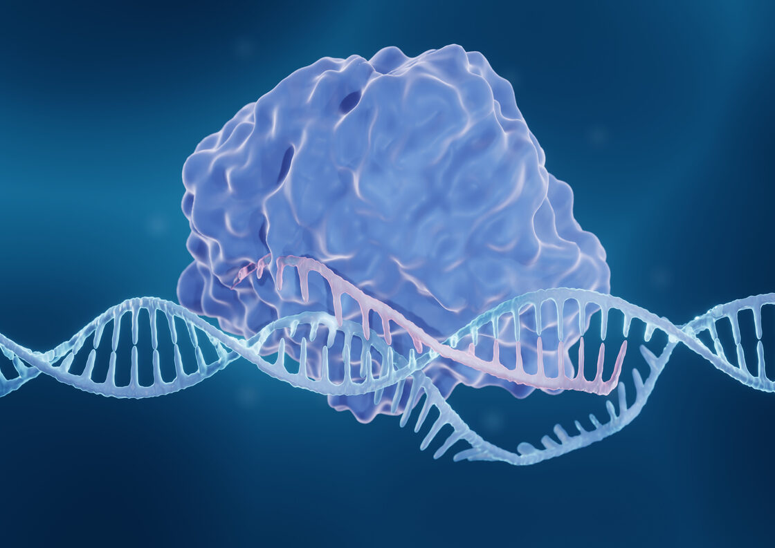 CRISPR-Cas9 genome editing enzyme, 3d illustration